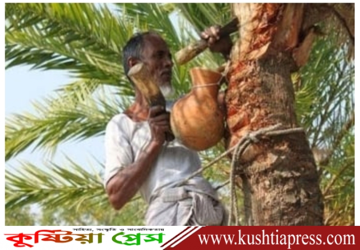 কাঁচা খেজুরের রস খাওয়া এড়িয়ে চলুন, নিপাহ ভাইরাসে এক মৃত্যু