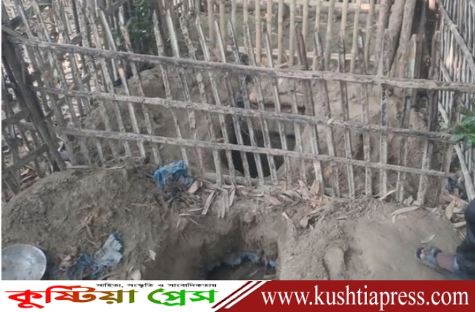 কুষ্টিয়ার কুমারখালী উপজেলায় পাহাড়পুর কবরস্থানে দুইটি কবর থেকে কঙ্কাল চুরি