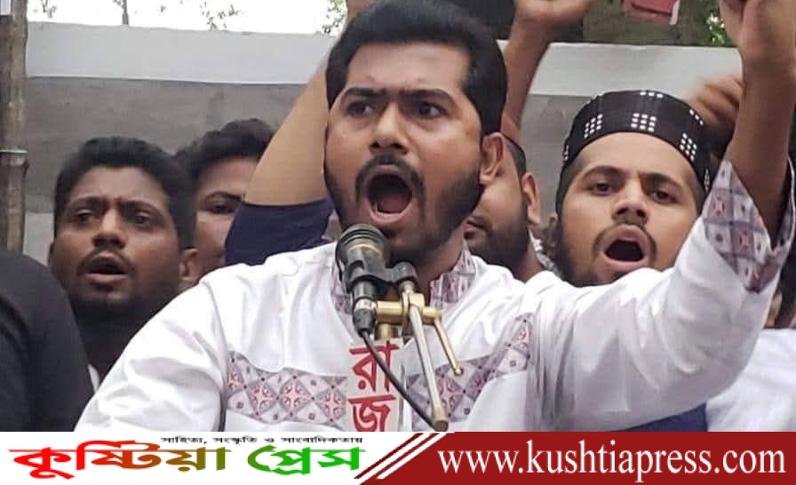 নির্বাচন ফেব্রুয়ারিতে নয়, জানুয়ারিতেই দিতে হবে:  নুর