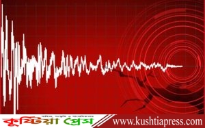 পৃথিবীর ভেতরের টেকটোনিক প্লেটগুলোর নড়াচড়ার ফলে ছোট ভূমিকম্প প্রতিদিন হাজার হাজার বার ঘটে