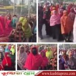 কুষ্টিয়ায় জামায়াতের প্রার্থী আমির হামজার কুরুচিপূর্ণ বক্তব্যের প্রতিবাদে নারীদের ঝাড়ু মিছিল
