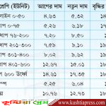 বাড়ল বিদ্যুতের দাম, চলতি জুন মাসের বিল থেকেই নতুন দাম কার্যকর!