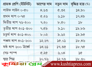 বাড়ল বিদ্যুতের দাম, চলতি জুন মাসের বিল থেকেই নতুন দাম&hellip;